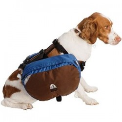 Proper Gear For Hiking With Your Dog